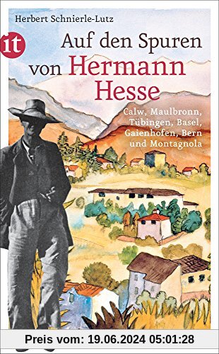 Auf den Spuren von Hermann Hesse: Calw, Maulbronn, Tübingen, Basel, Gaienhofen, Bern und Montagnola (insel taschenbuch)